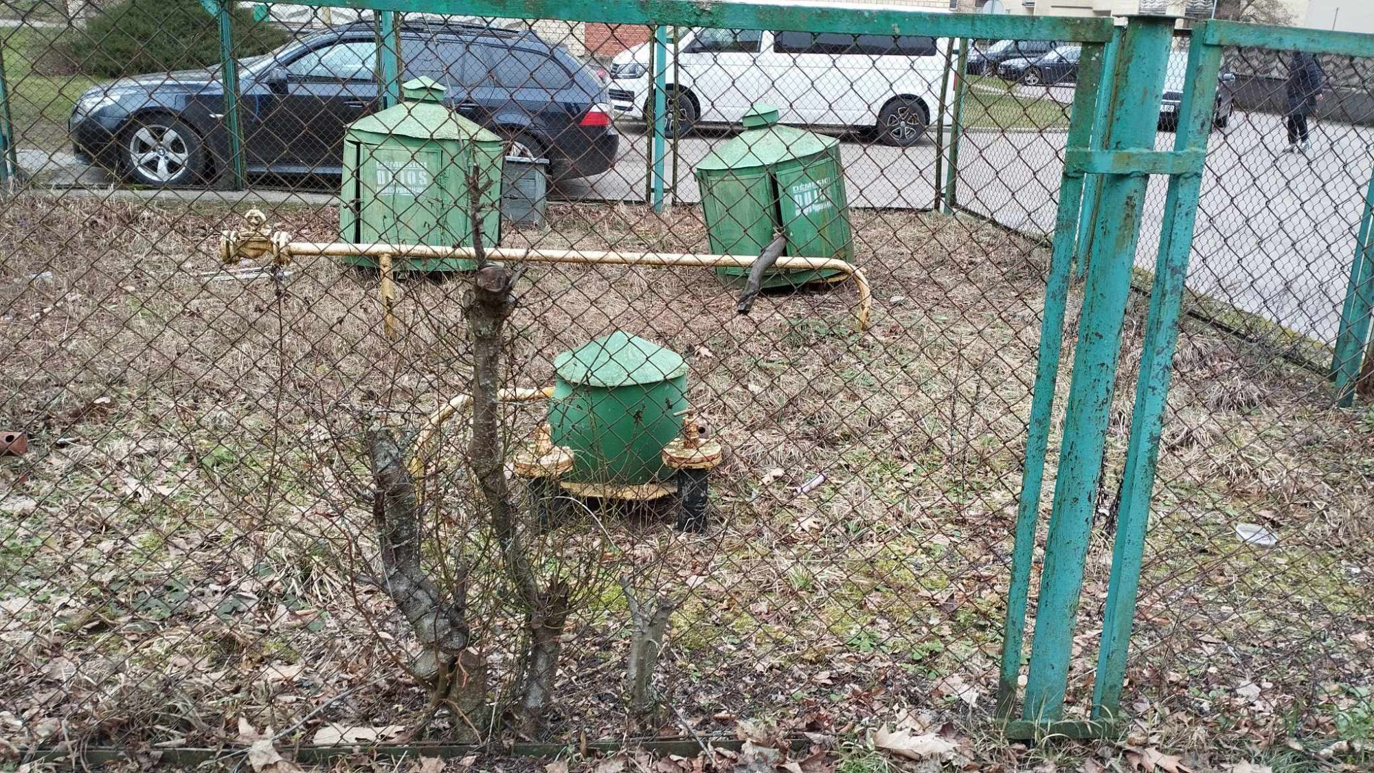 first image