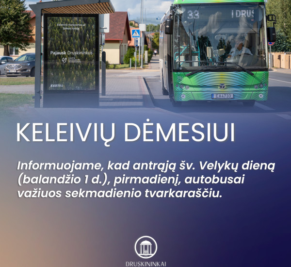 Velyku autobusu grafikas.jpg