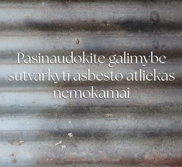 Asbestas 2.jpg