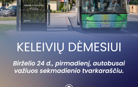 Joniniu autobusu grafikas.jpg