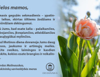 Mamos d 2.jpg