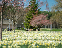 Kviečiame susipažinti su Strategijos įgyvendinimo ataskaita už 2024–2025 metus