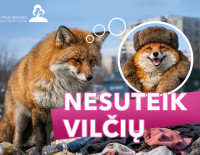 Svarbu suprasti: konteineryje, o ne šalia jo