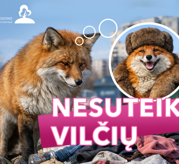 Lape straipsniui copy.jpg