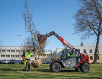 Druskininkų erdvės tampa dar žalesnės: jose - dešimtys naujų ir persodintų medžių