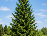 ChatGPT Image 2026-04-24 12_42_15.png