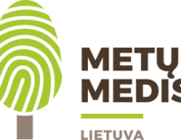 Kviečiame teikti paraiškas 2026 metų Lietuvos medžio rinkimams