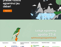 LHMT-egzam-1600x1600.jpg